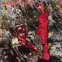 Straitjacket Fits to announce Hail (Reissue) via Flying Nun Records