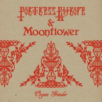 Fortress Europe Release New Single in Collaboration with Moonflower