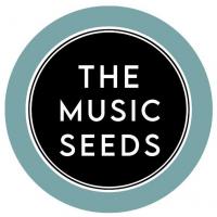 WIN - The Music Seeds Mindset & Well-Being Coaching