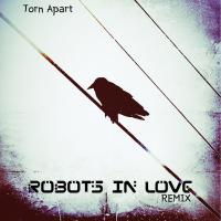 New Remix from Robots In Love x IKON