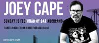 Lagwagon frontman Joey Cape at Auckland's Whammy Bar in February