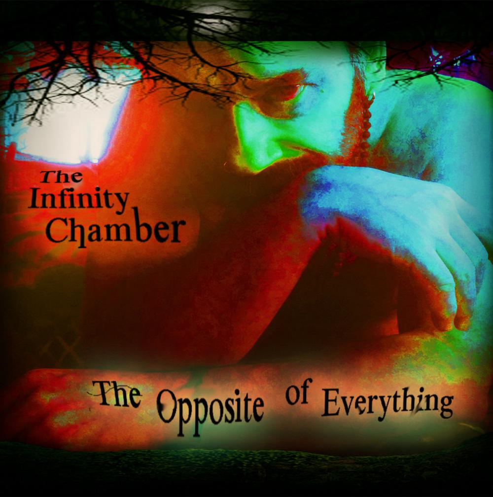 Introducing 'The Opposite of Everything' by The Infinity Chamber