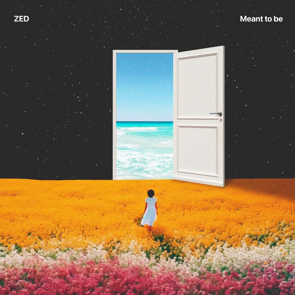 Zed Deliver Summer Single 'Meant To Be'