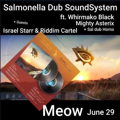 Salmonella Dub SoundSystem Announce Wellington Show