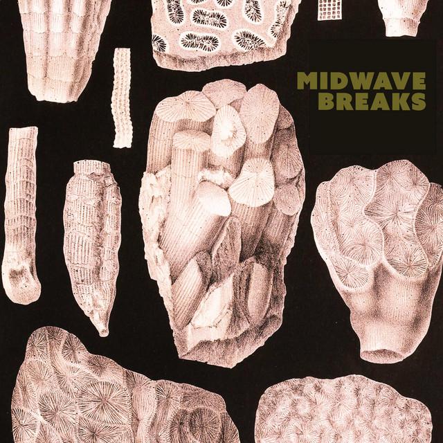 Midwave Breaks are 'Standing Inside Out'