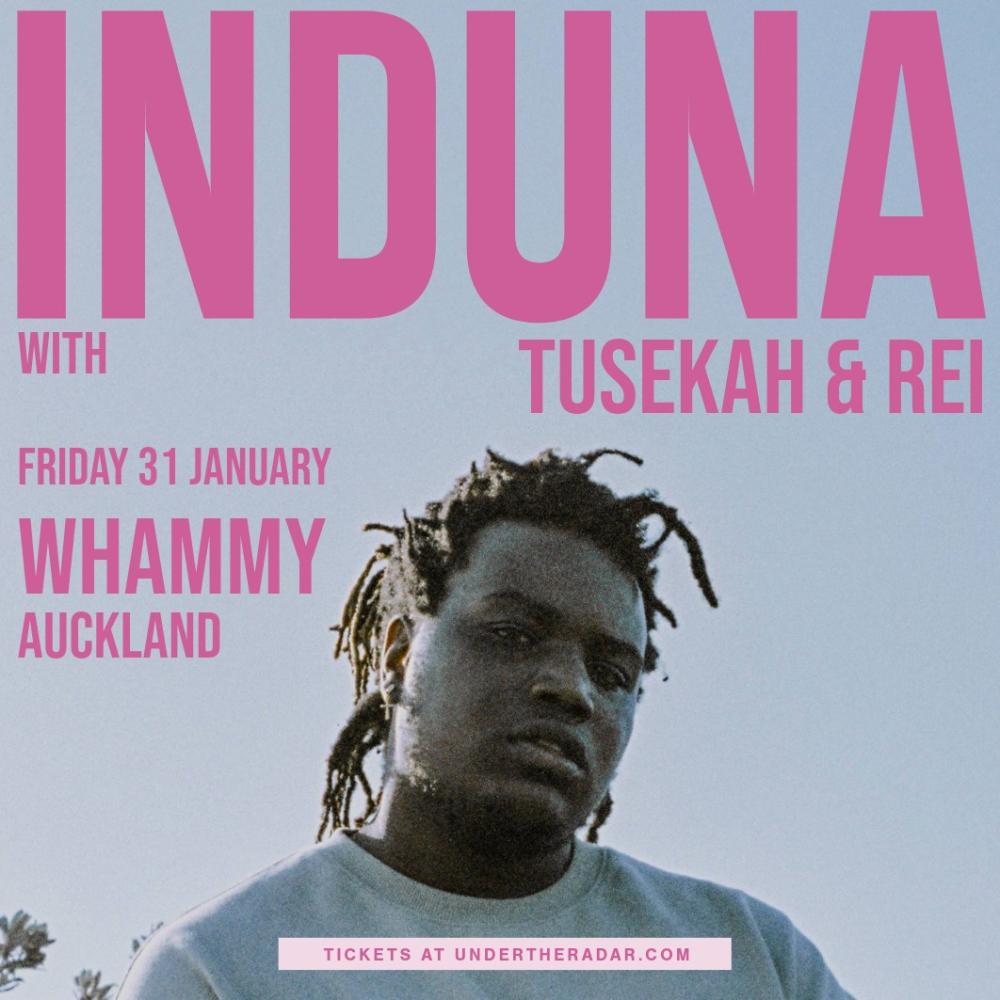 InDuna Presents A Night of Fusion Afro-Pop, Soul and Modern Electronic Sounds