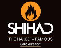 Shihad, The Naked & Famous & Cairo Knife Fight Summer Tour Dates