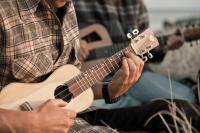 Unique Ukulele Building Workshop On Offer In Wellington