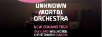 Unknown Mortal Orchestra Announce Second Wellington Show Date