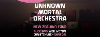 Unknown Mortal Orchestra - Christchurch venue change and new support!