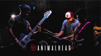 New Single for Animalhead